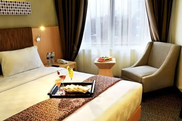 Deluxe Tek Kişilik Oda, 1 Çift Kişilik Yatak, Şehir Manzaralı