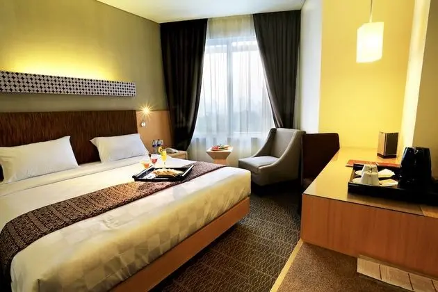 Deluxe Tek Kişilik Oda, 1 Çift Kişilik Yatak, Şehir Manzaralı