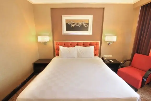 Deluxe Oda, 1 Yatak Odası, Şehir Manzaralı