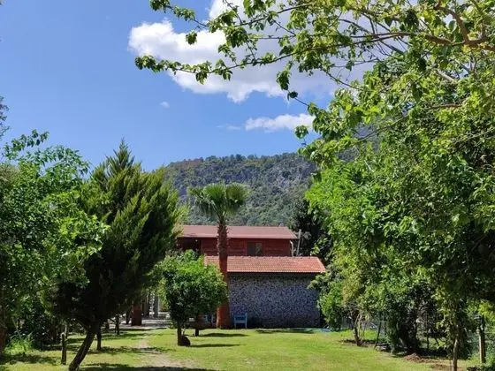 Kasımpatı , Bahçe Manzaralı, Bahçe Katı