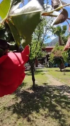 Orkide, Bahçe Manzaralı, 1. Kat