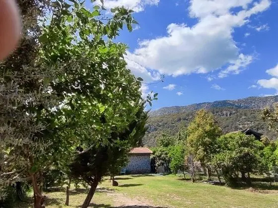 Orkide, Bahçe Manzaralı, 1. Kat