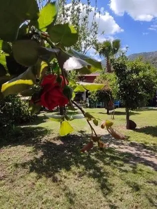 Orkide, Bahçe Manzaralı, 1. Kat