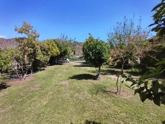 Orkide, Bahçe Manzaralı, 1. Kat