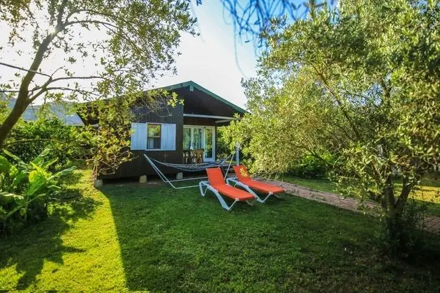 Aile Bungalow