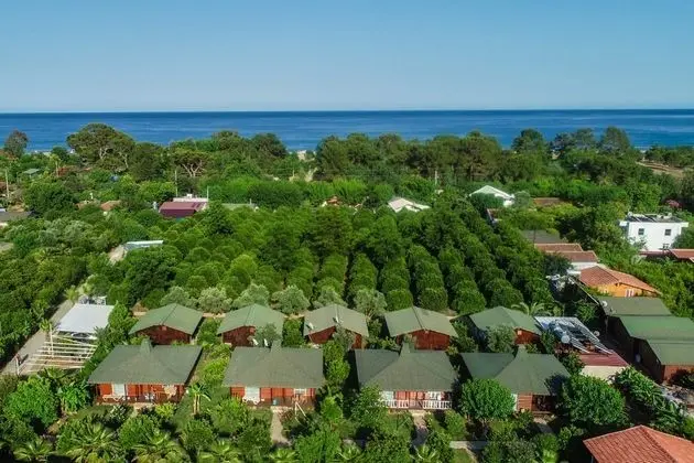 Cirali Zakkum Bungalow