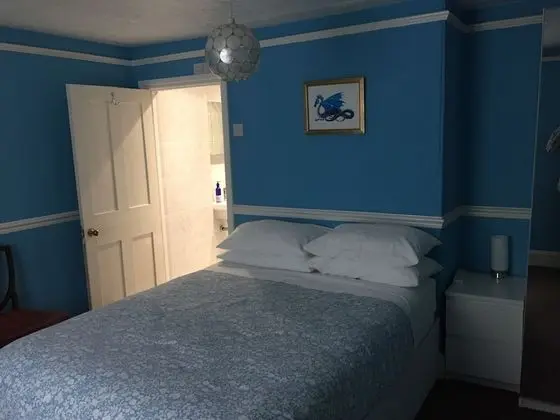 Tek Büyük Yataklı Oda, Banyolu/Duşlu, Zemin Kat