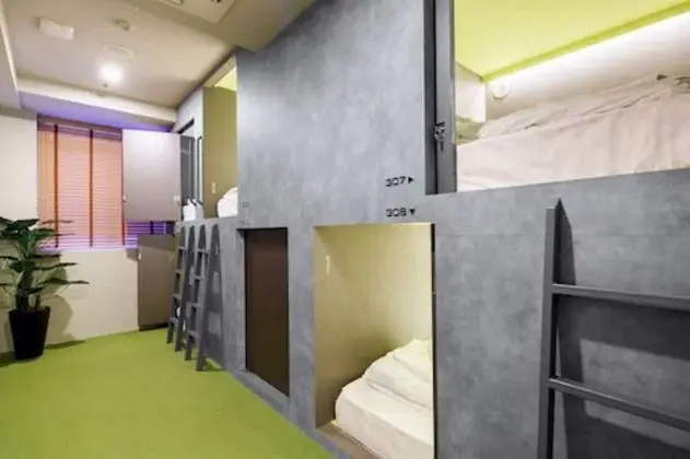 Superior Tek Büyük Yataklı Oda, Karma Ranzalı Oda (Male and Female Mixed Dorm)