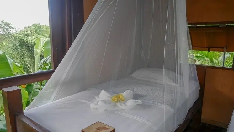 Ortak Ranzalı Oda, Sadece erkekler için, Dağ Manzaralı (4 Beds)