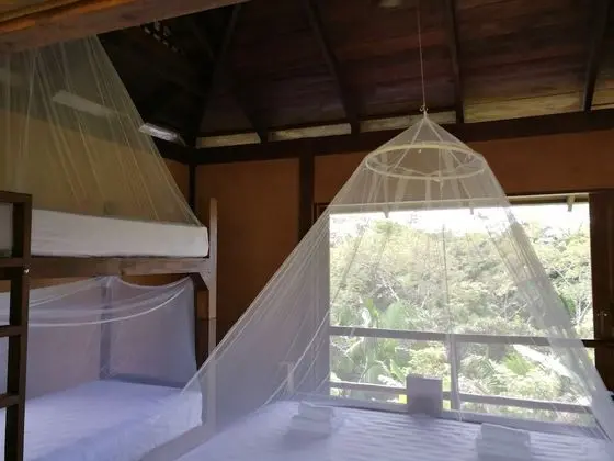 Ortak Ranzalı Oda, Sadece kadınlar için, Dağ Manzaralı (4 Beds)