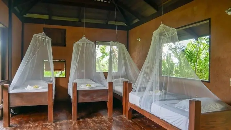 Ortak Ranzalı Oda, Sadece kadınlar için, Dağ Manzaralı (4 Beds)