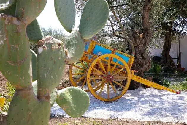 Superior Dört Kişilik Oda, Mutfak