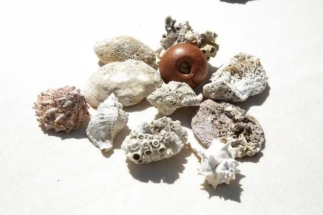 Superior Dört Kişilik Oda, Mutfak