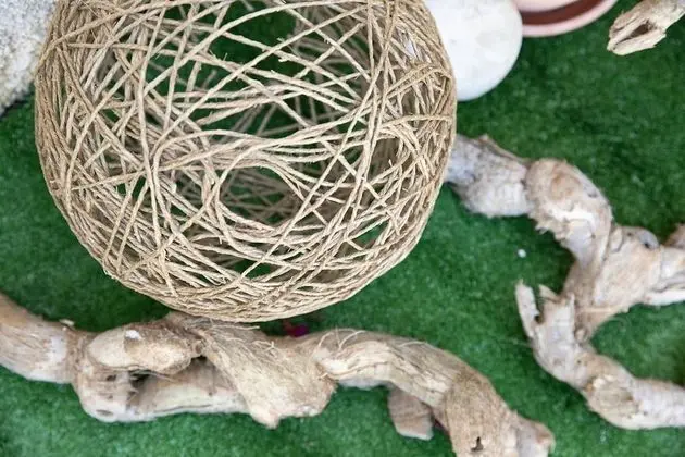 Superior Dört Kişilik Oda, Mutfak