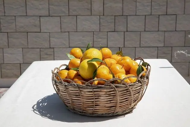 Superior Dört Kişilik Oda, Mutfak