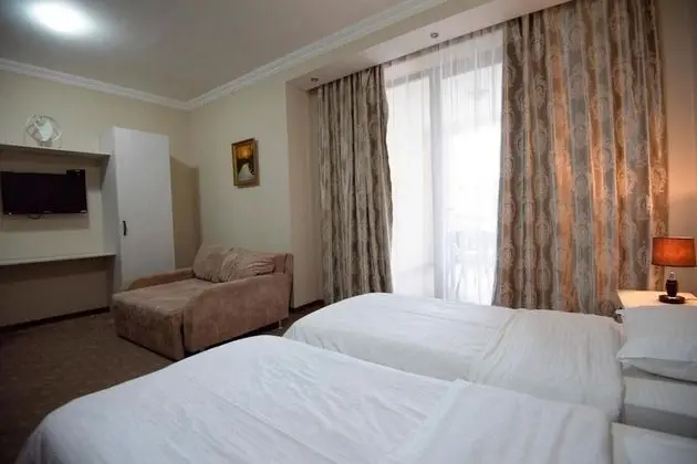 Standard İki Ayrı Yataklı Oda, 2 Tek Kişilik Yatak, Şehir Manzaralı