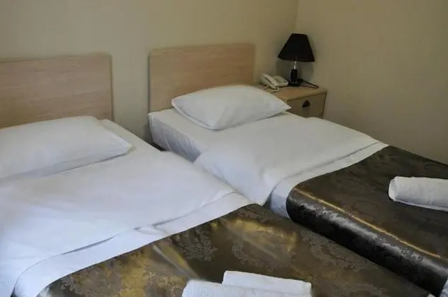 Standard İki Ayrı Yataklı Oda, 2 Tek Kişilik Yatak, Şehir Manzaralı