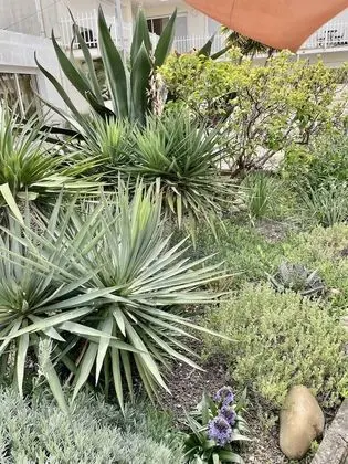 Tek Büyük Yataklı Oda (Motel)