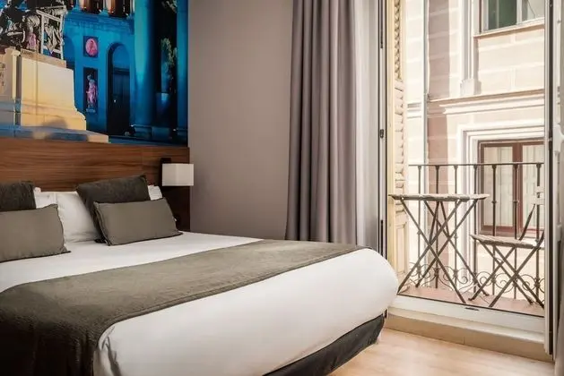 Standard Tek Büyük Yataklı Oda, 1 Çift Kişilik Yatak