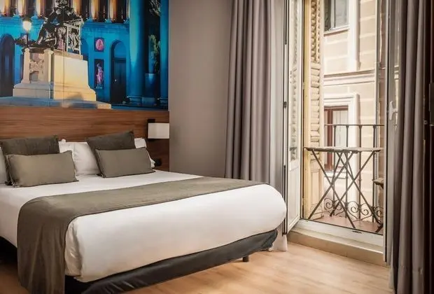 Standard Tek Büyük Yataklı Oda, 1 Çift Kişilik Yatak