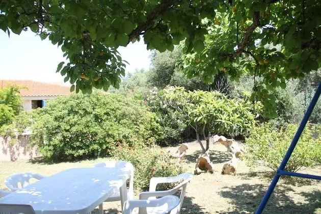 Panoramic Apart Daire, 2 Yatak Odası, Deniz Manzaralı