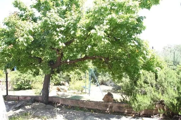 Panoramic Apart Daire, 2 Yatak Odası, Deniz Manzaralı