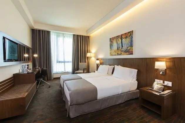Deluxe Stüdyo, 1 Yatak Odası, Şehir Manzaralı