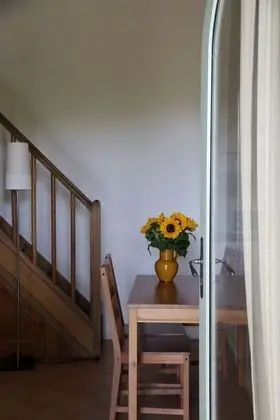 Stüdyo, Teras, Asma Kat