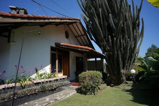 Bungalov