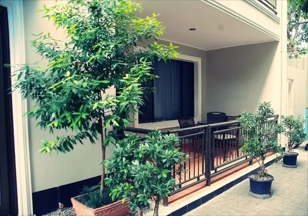 Executive Süit, 1 Yatak Odası