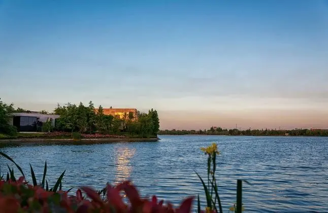 Villa, 1 Yatak Odası