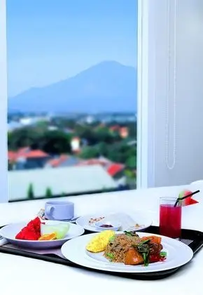 Superior Tek Büyük Yataklı Oda, 1 Büyük (Queen) Boy Yatak, Sigara İçilmez, Şehir Manzaralı
