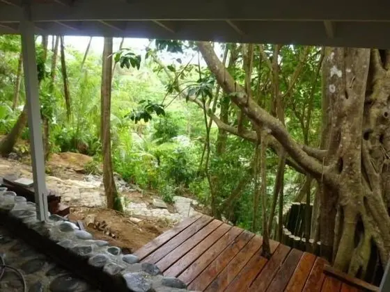 Banyan Panoramic Cottage