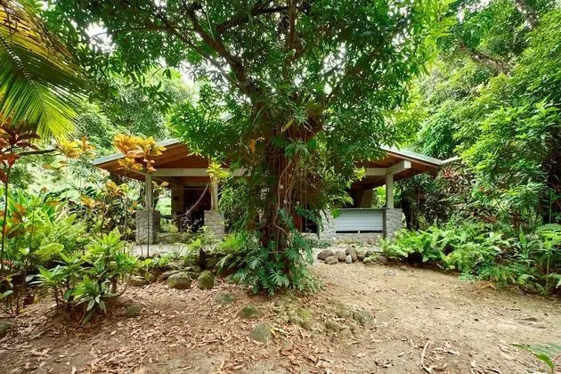 Mango Signature Cottage