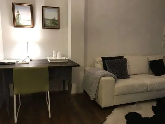 Executive Apart Daire, 1 Yatak Odası