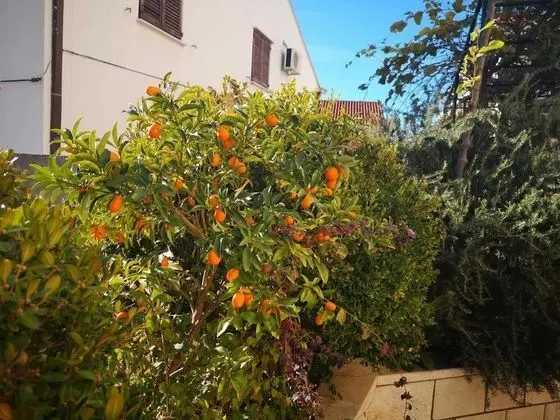 Apart Daire (City Apartments Lani - One Bedroom Ap)