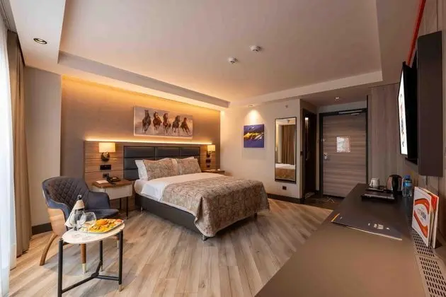 Standart Oda, Sokak Manzaralı, Klimalı