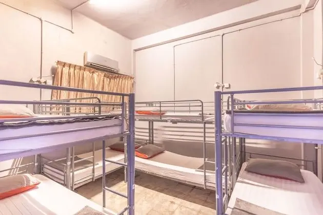 Single Bed in Standard 8-Beds Dormitory