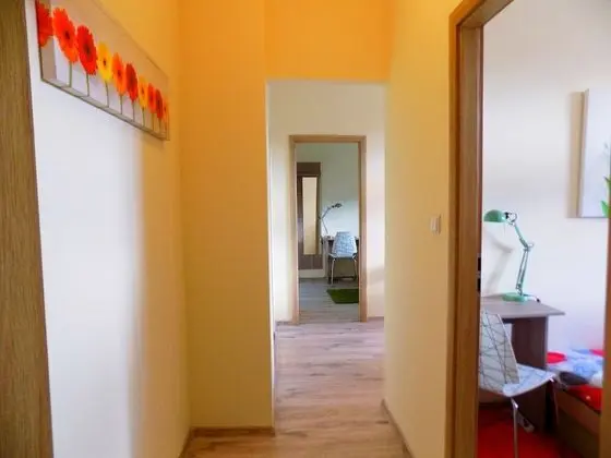 Tek Büyük veya İki Ayrı Yataklı Oda, Ortak Banyo (RyP3)