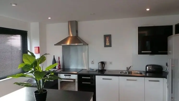 Executive Çatı Katı Süiti (Penthouse), 2 Yatak Odası, Teras, Şehir Manzaralı