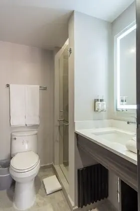Standard Oda, 1 Büyük (Queen) Boy Yatak, Teras, Şehir Manzaralı (Central Building)