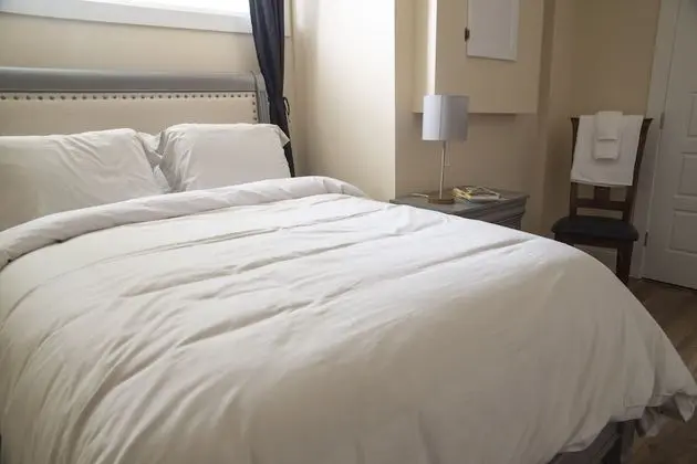 Elite Apart Daire, 1 Çift Kişilik Yatak, Sigara İçilmez