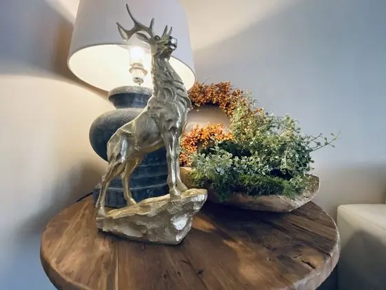 Luxury Ev, 1 Yatak Odası, Mutfak, Şehir Manzaralı