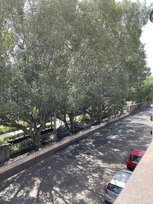 Comfort Oda, 1 En Büyük (King) Boy Yatak, Banyolu/Duşlu, Park Manzaralı