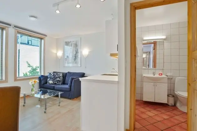 Comfort Apart Daire, 1 Çift Kişilik Yatak ve Çekyat