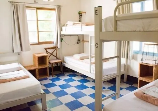 Ortak Ranzalı Oda (1 Bed in 5 Bed Mixed Dorm)
