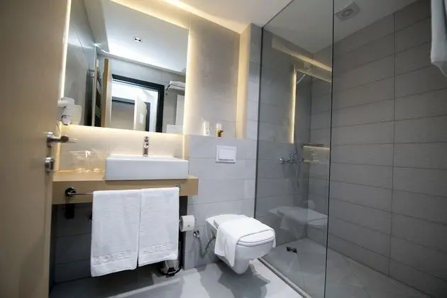 Deluxe Oda, 1 Yatak Odası, Şehir Manzaralı
