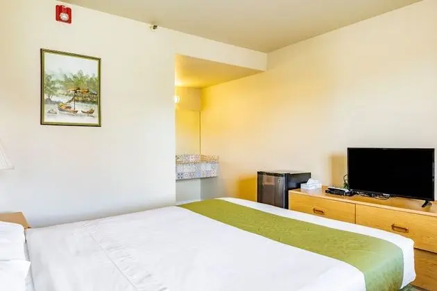 City Oda, 1 Büyük (Queen) Boy Yatak, Buzdolabı ve Mikrodalga, Şehir Manzaralı