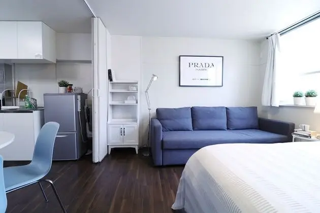 Luxury Apart Daire (2)