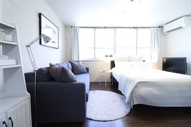 Luxury Apart Daire (2)